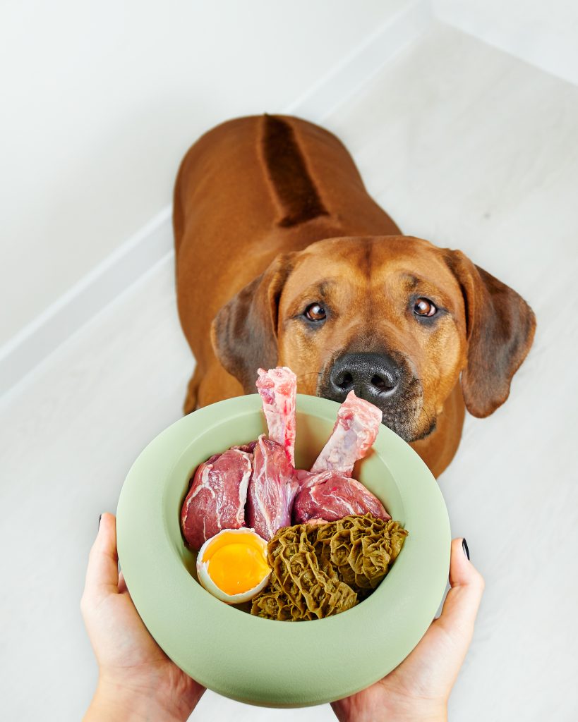 BARF Natural Pets molido: opción práctica de dieta BARF para perros